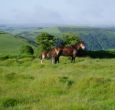 The ideal self catering house for groups of 14
