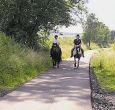 self-catering cottage where you can take your horse if you wish