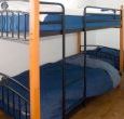 Adult sized bunk beds