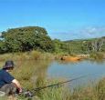 Fishing