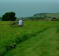 Our top field