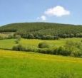 self-catering holiday cottage