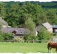 selfcatering wales farm holiday
