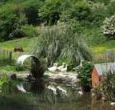 beautiful cornwall selfcatering holidays