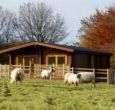 This pine lodge or log cabin was completed in 2006