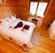 Forest View Retreat Lodges