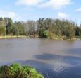 View across the lake