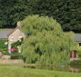 Comfortable cottages in Devon