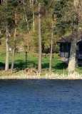 cottage in England cottage in England