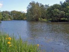 Willowfield Lake Cottages - Devon