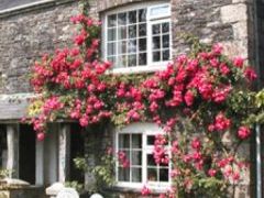 Tremaine Green Country Cottages - Cornwall