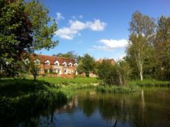 Cherry Blossom - Warwickshire
