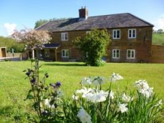 Crepe Farm Cottage - Dorset