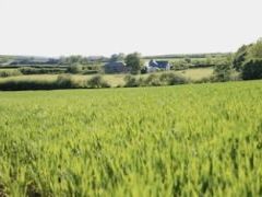 Talehay Cottages - Cornwall