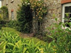 Windover Farm Cottage - Devon