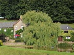 West Pitt Farm - Devon