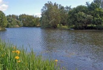 Willowfield Lake Cottages  - Braunton,  