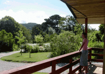 Woodcombe Lodge  - Minehead,  