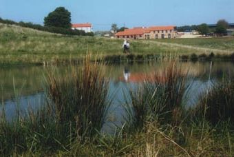 Poachers Hideaway  - Horncastle, Louth,  