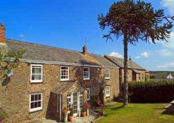 Court Farm Cottages  - BUDE,  