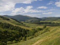 College Cottage, Crookhouse  - Wooler,  