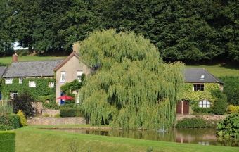 West Pitt Farm  - Tiverton,  