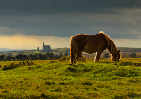 Bodmin Moor in Poldark Country