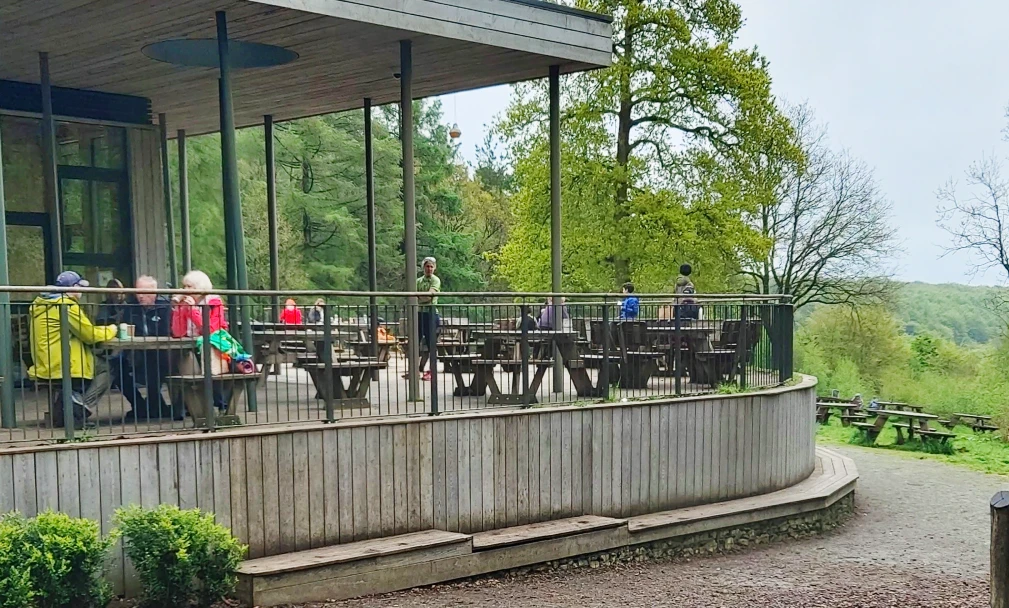 Woodland cafe at Wendover woods