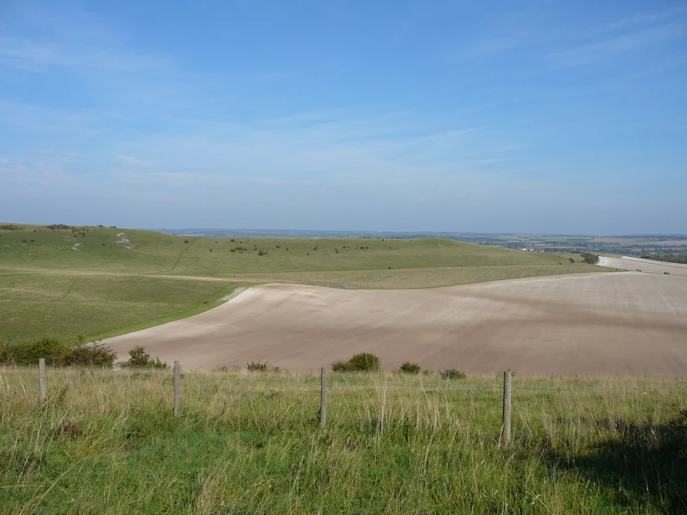 Dunstable Downs Countryside