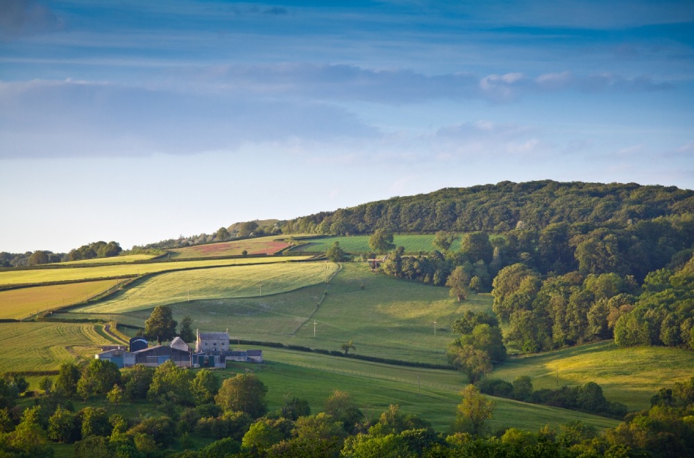 Cotswolds countryside