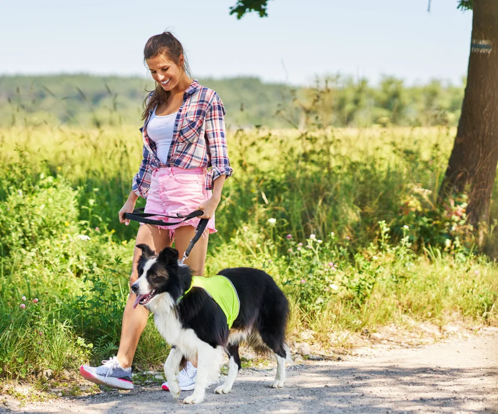 Dog walker with pet pooch