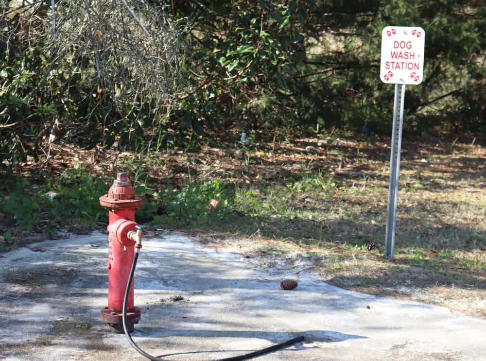 Dog washing station