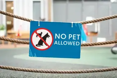 No pets holiday homes