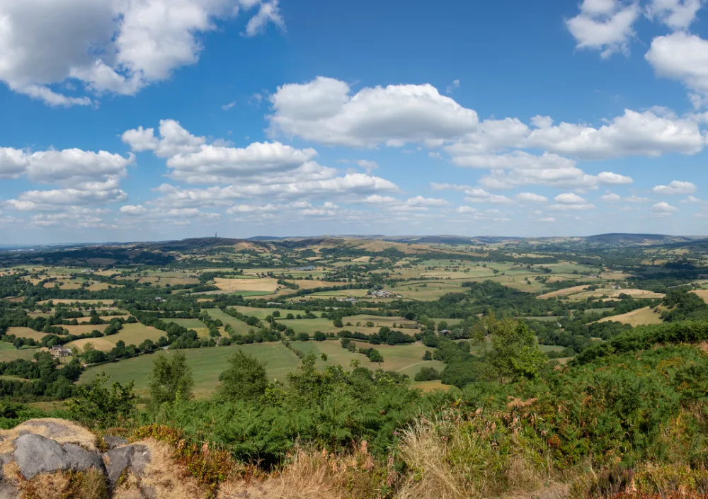 Cheshire plains