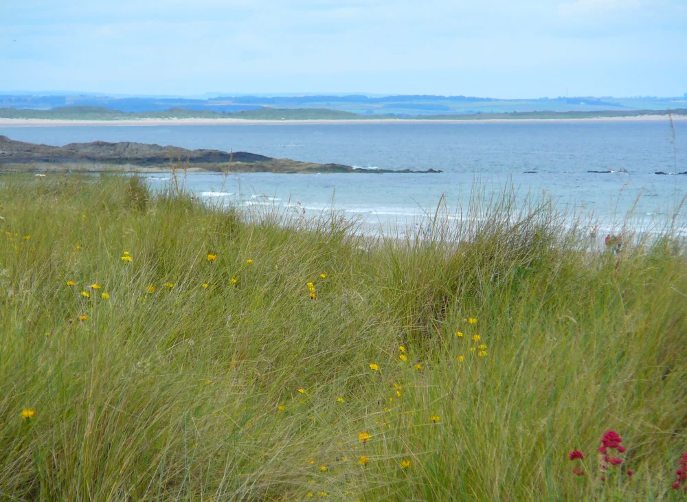 Northumberland coastline