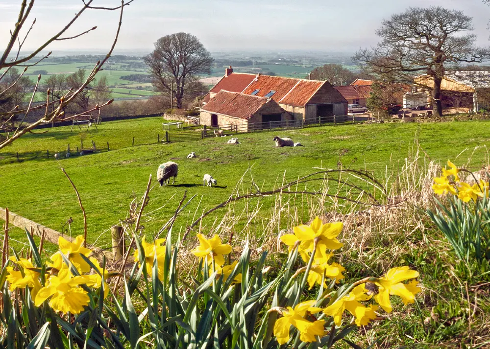 Spring holiday cottage