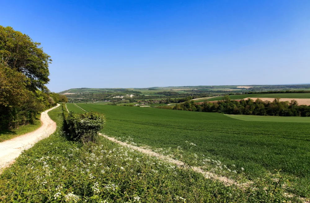 South Downs National Park