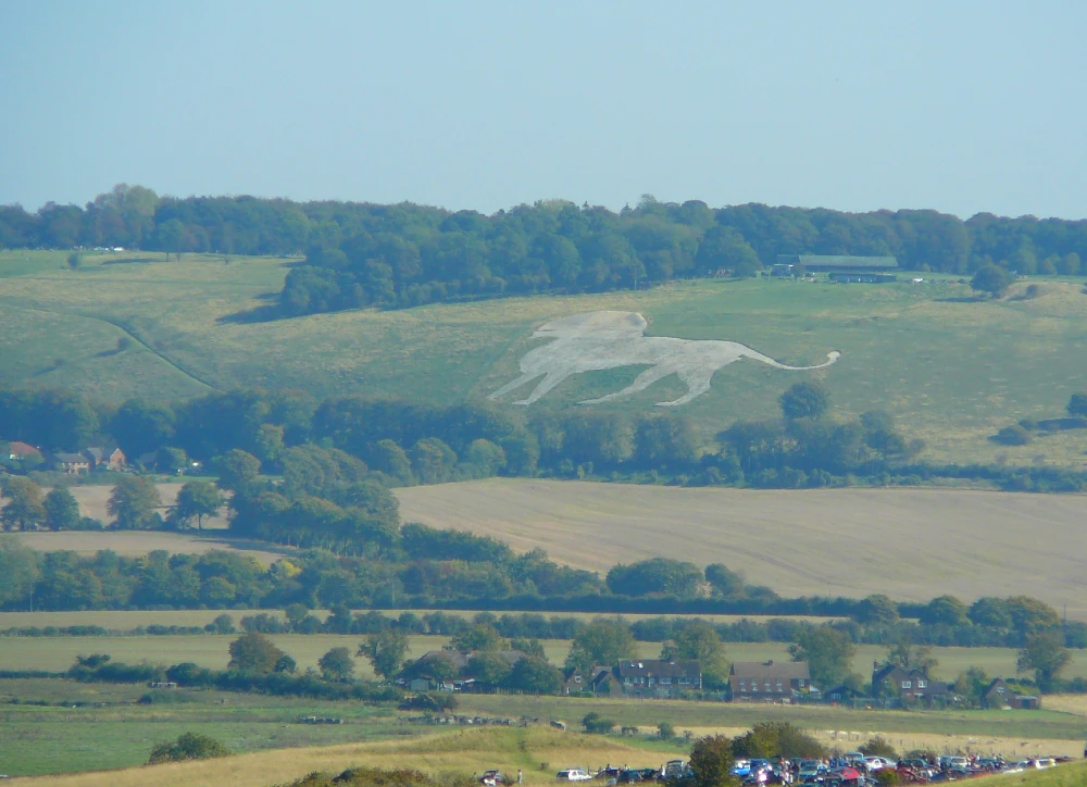 White Lion near Whipsnade Zoo