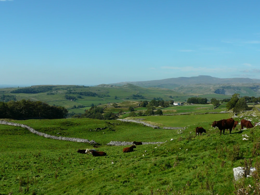 Yorkshire Dales farmlands