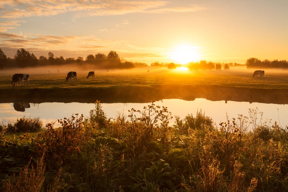 Dedham Vale countryside