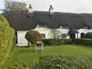 2 Swan Green Cottages - thumbnail photo 5