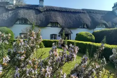 2 Swan Green Cottages, Emery Down, Hampshire