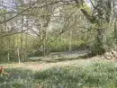 Blackdown Cottage - thumbnail photo 19