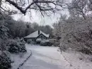 Blackdown Cottage - thumbnail photo 18