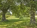 Buttercups Haybarn 5 Star Cottage with Indoor Pool, Sports Court & Toddler Play Area - thumbnail photo 13