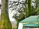 Glamping Tent - thumbnail photo 7