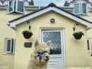 Saddlers Cottage, Berllandeg Farm - thumbnail photo 1