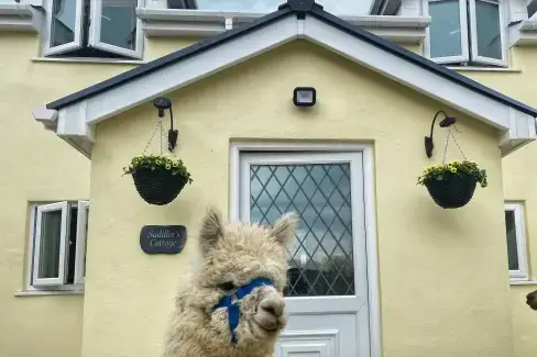 Saddlers Cottage, Berllandeg Farm, ,  