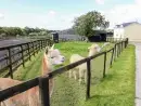 Saddlers Cottage, Berllandeg Farm - thumbnail photo 23