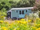 The Shepherd's Hut - thumbnail photo 1